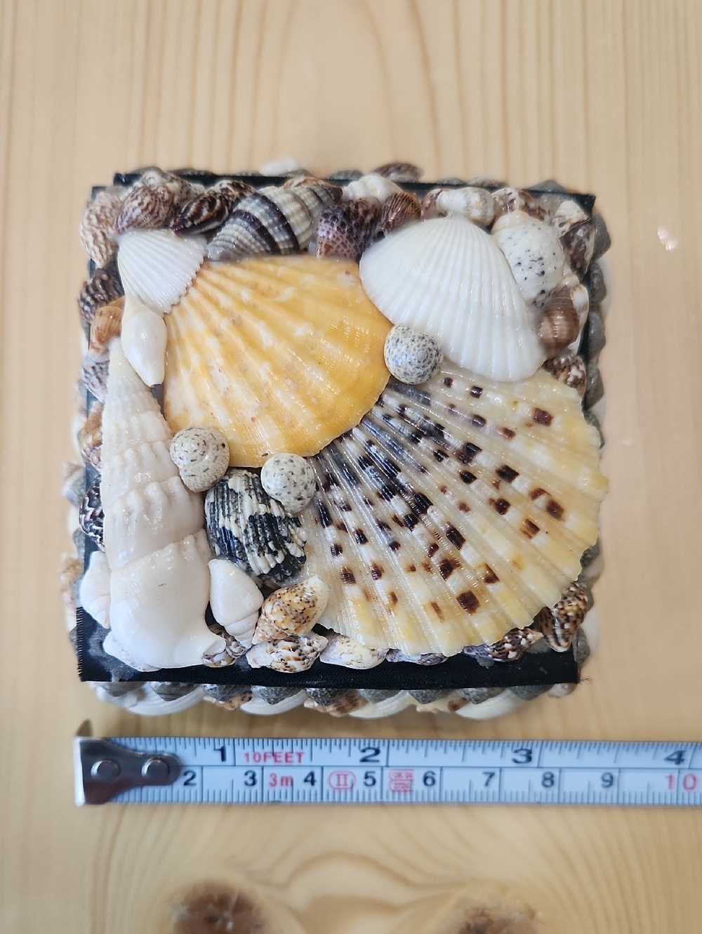 Vintage Sea Shell Trinket Box Black Velvet Lined Coastal Jewelry Keepsake Case - Picture 10 of 13